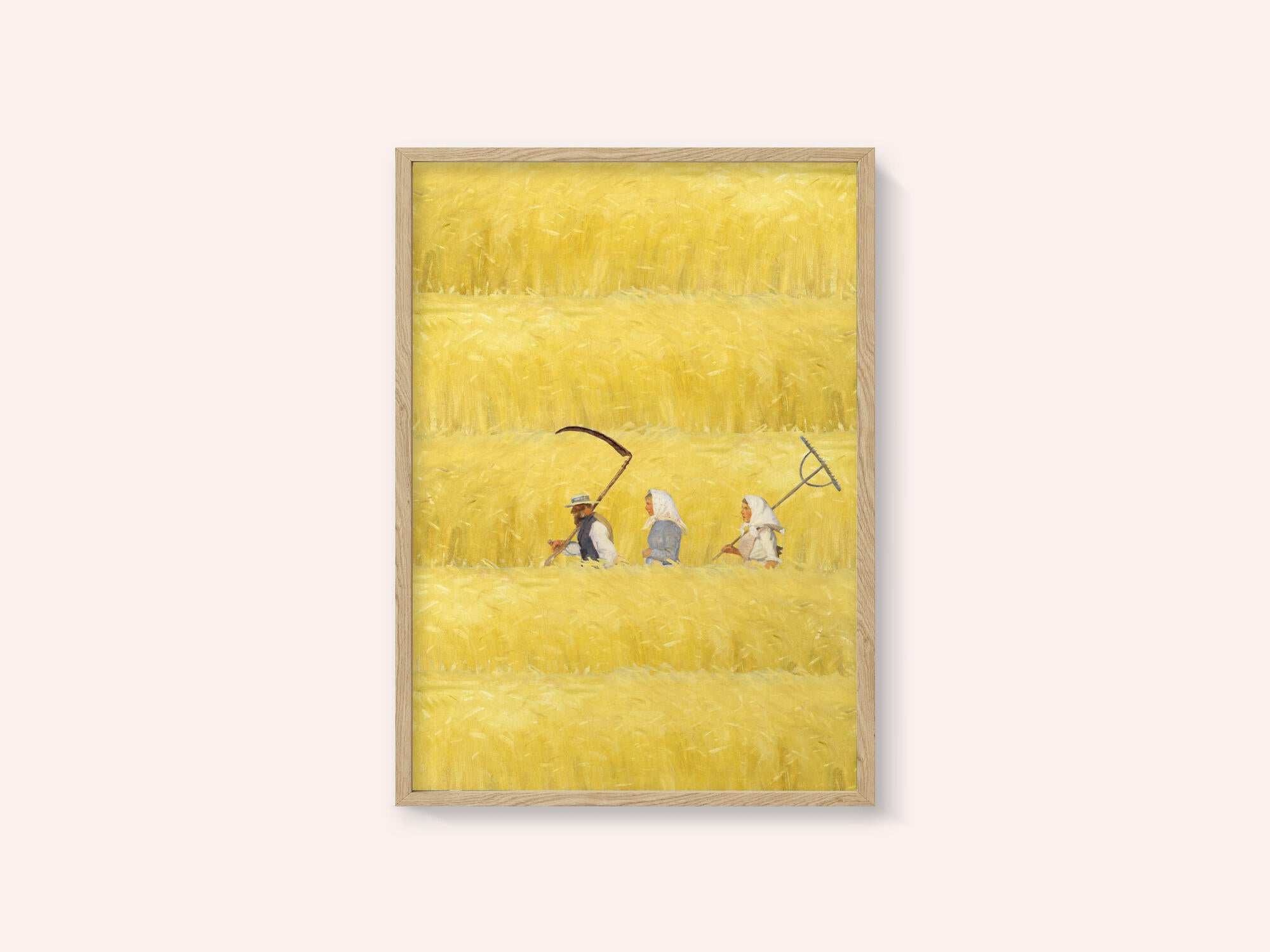 Harvesting The Golden Field