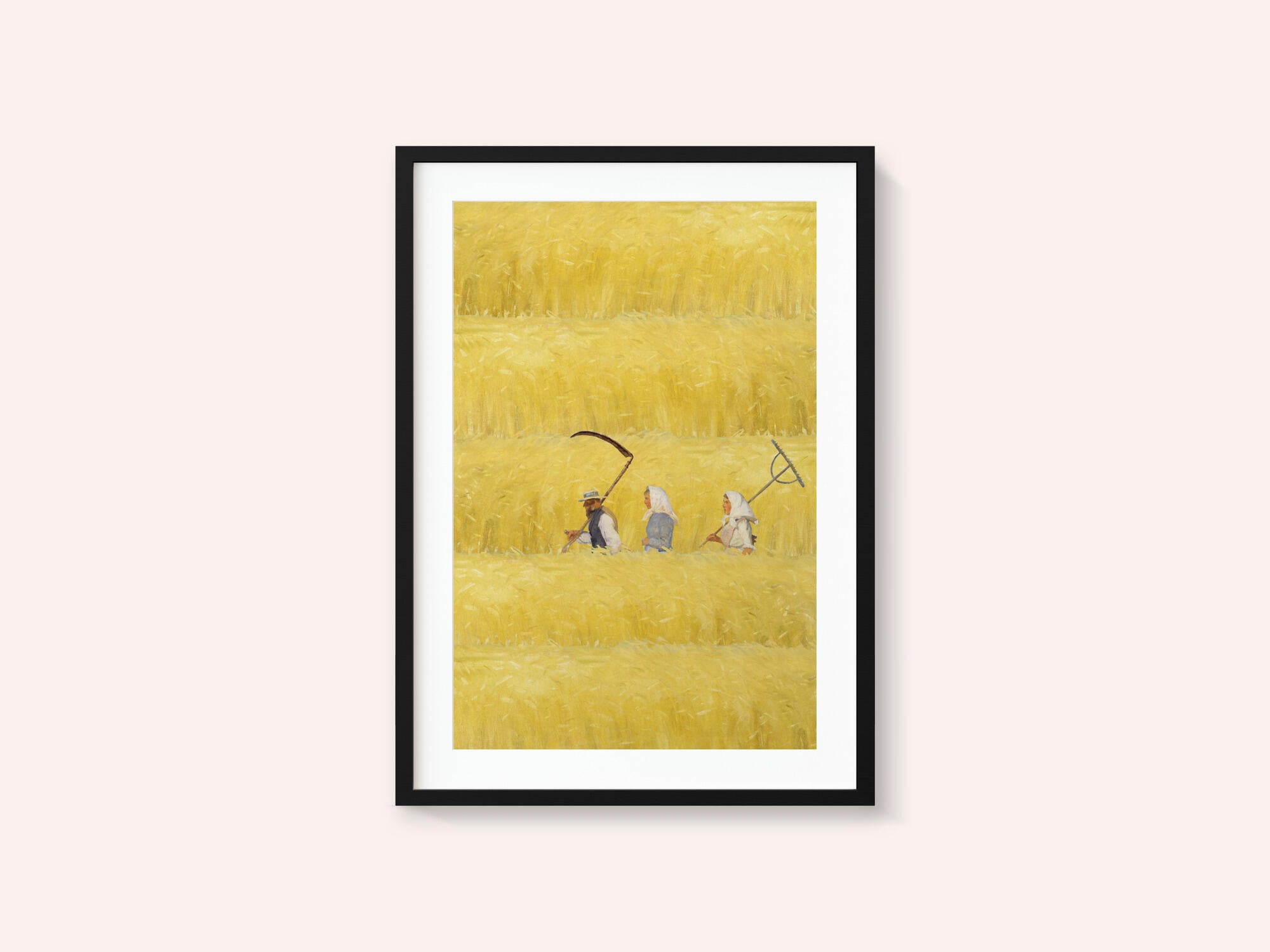 Harvesting The Golden Field