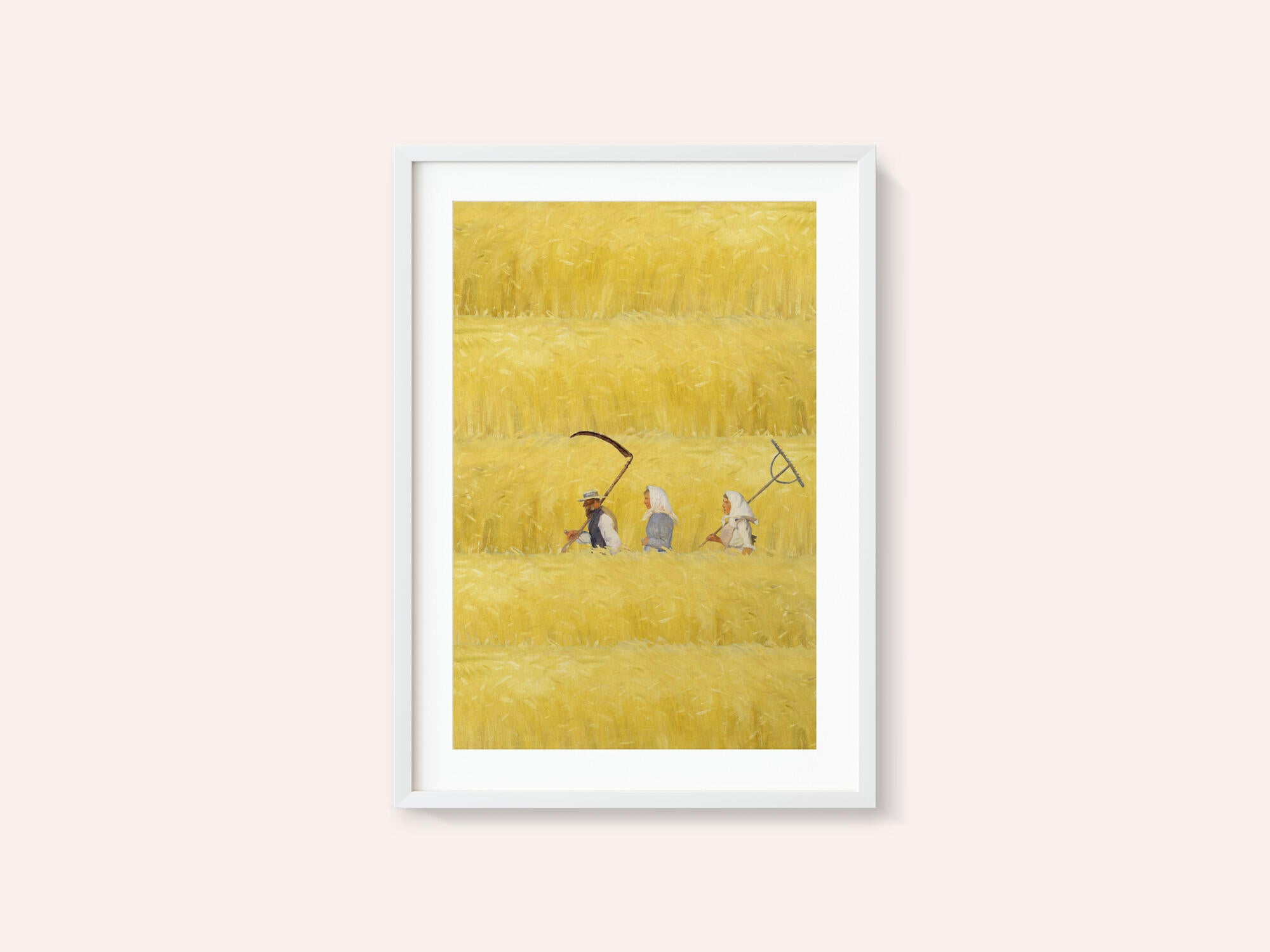 Harvesting The Golden Field