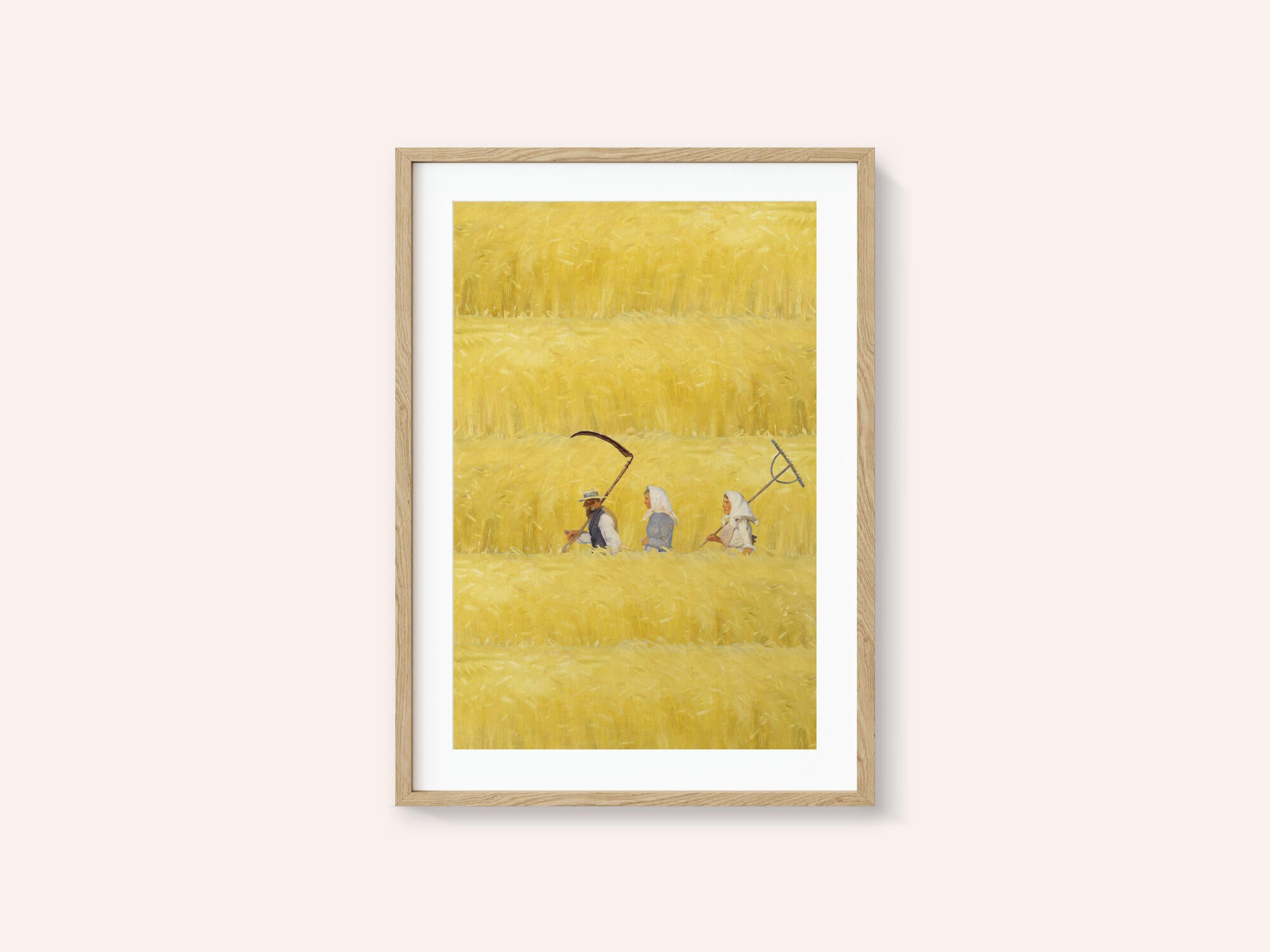 Harvesting The Golden Field