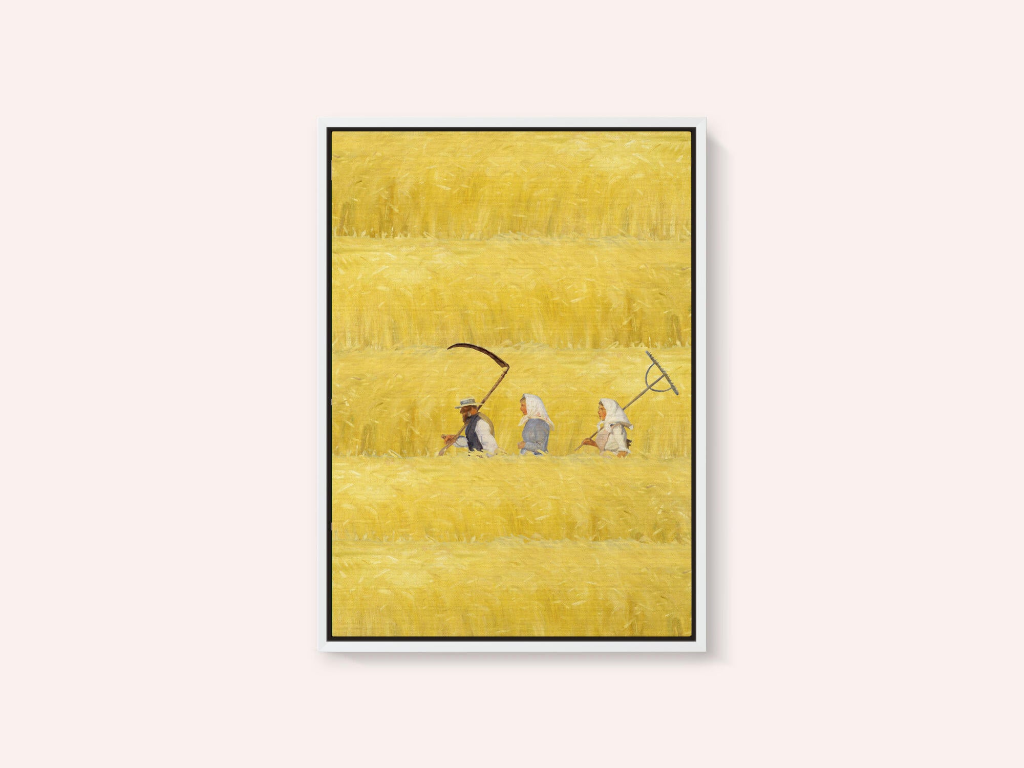 Harvesting The Golden Field