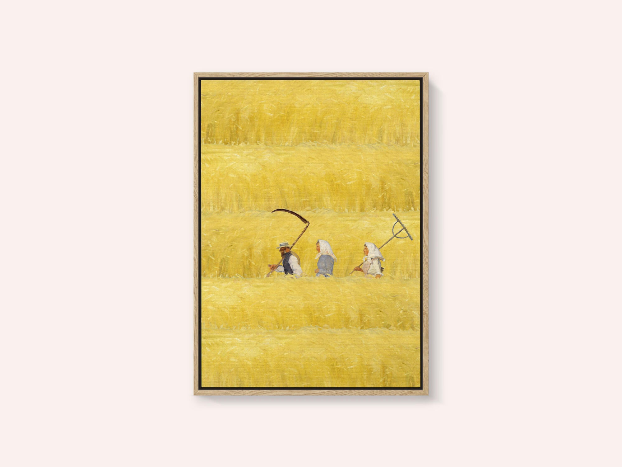 Harvesting The Golden Field