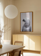 African Grey