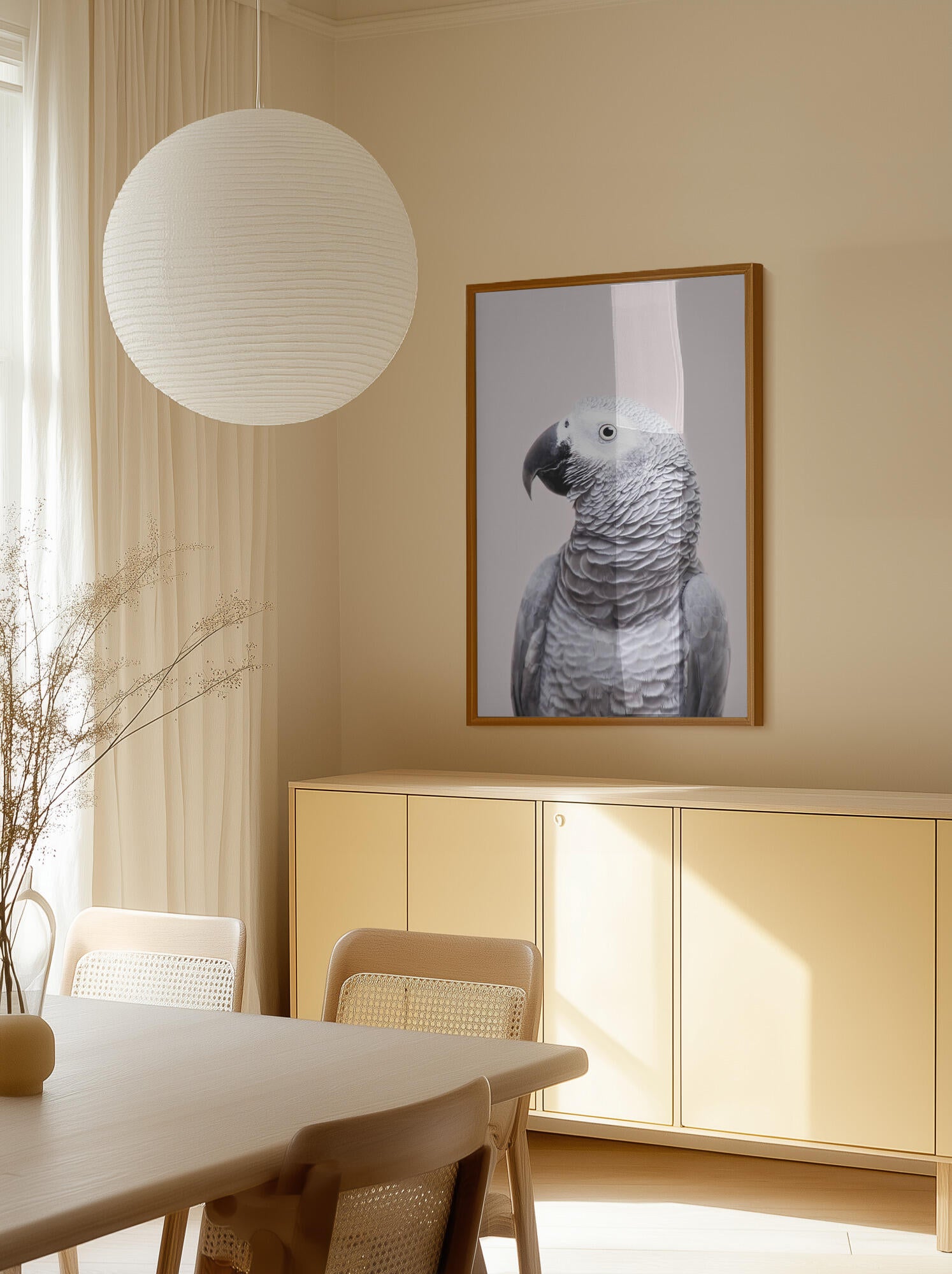African Grey