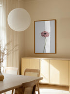 Pink Gerbera