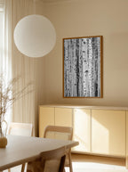 Birches