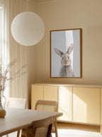 Baby Rabbit