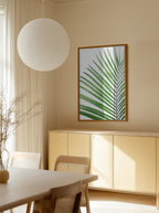 Green Palm Leaf