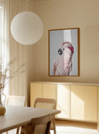Pink Cockatoo