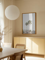 Palm Springs Palms