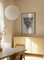 Curious Baby Raccoon
