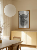 Shaggy Highland Bull