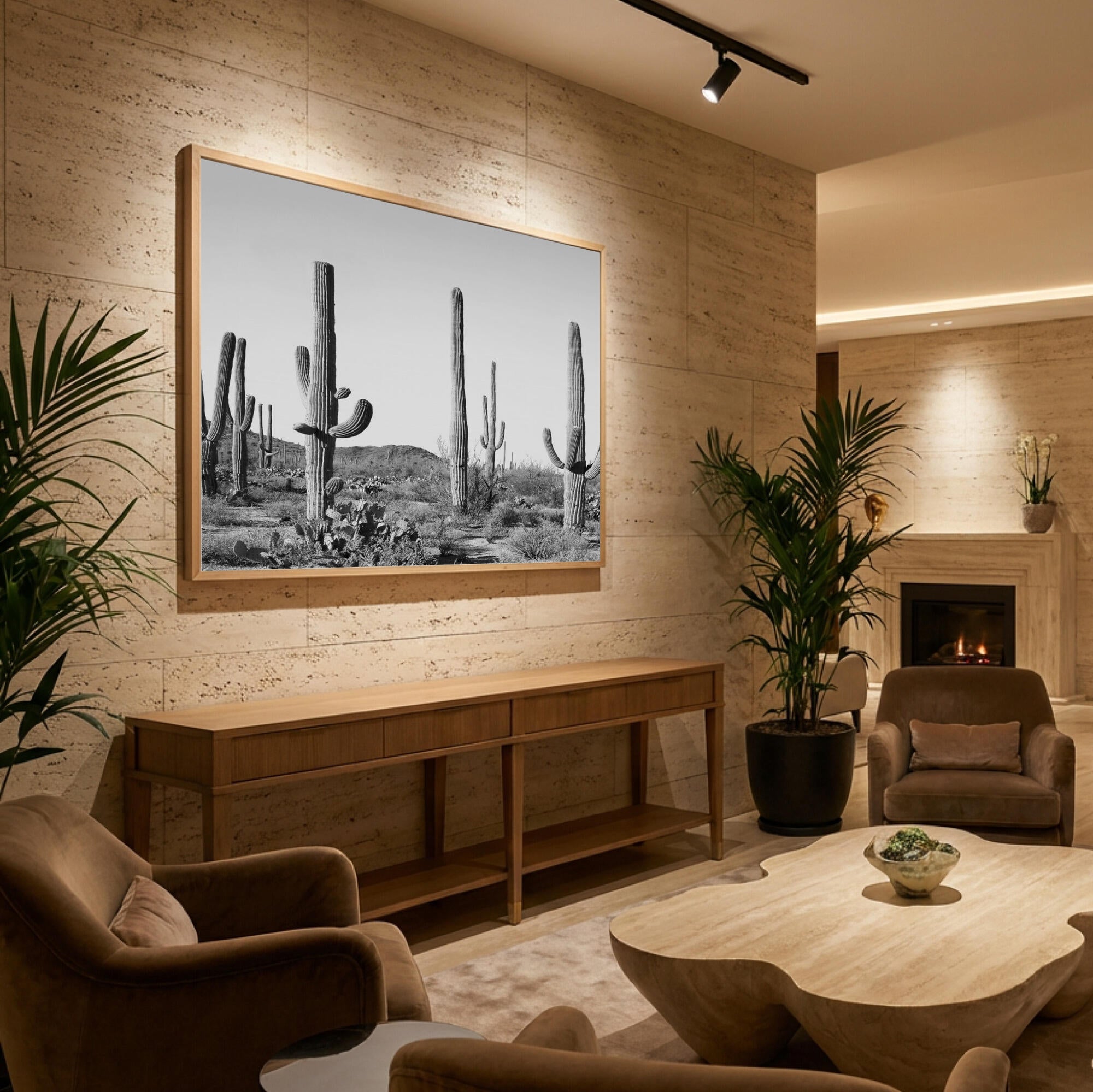 Grey Cactus Land