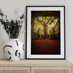 "Muckross Abbey - Tree of Life"