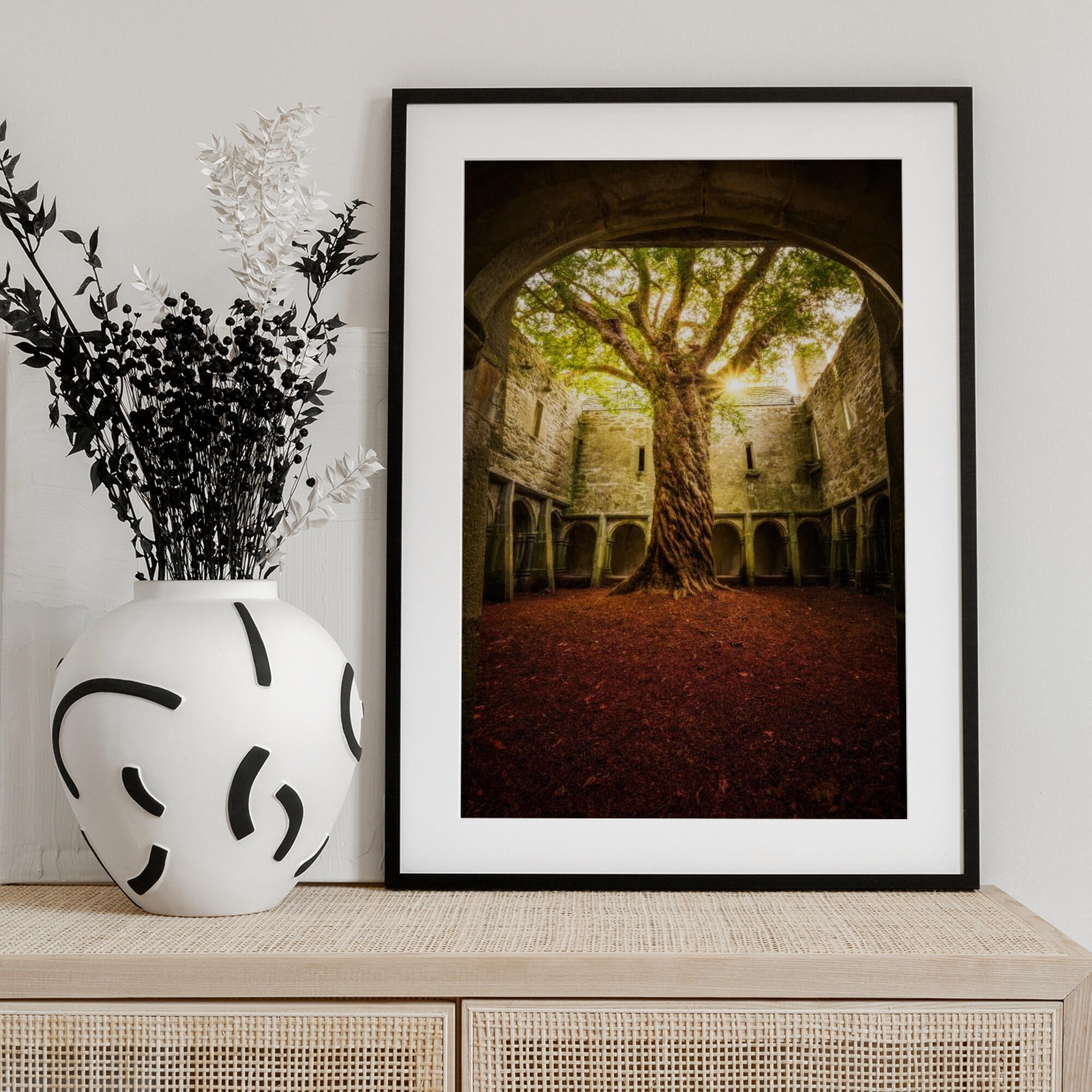 "Muckross Abbey - Tree of Life"