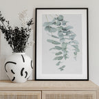 Eucalyptus I