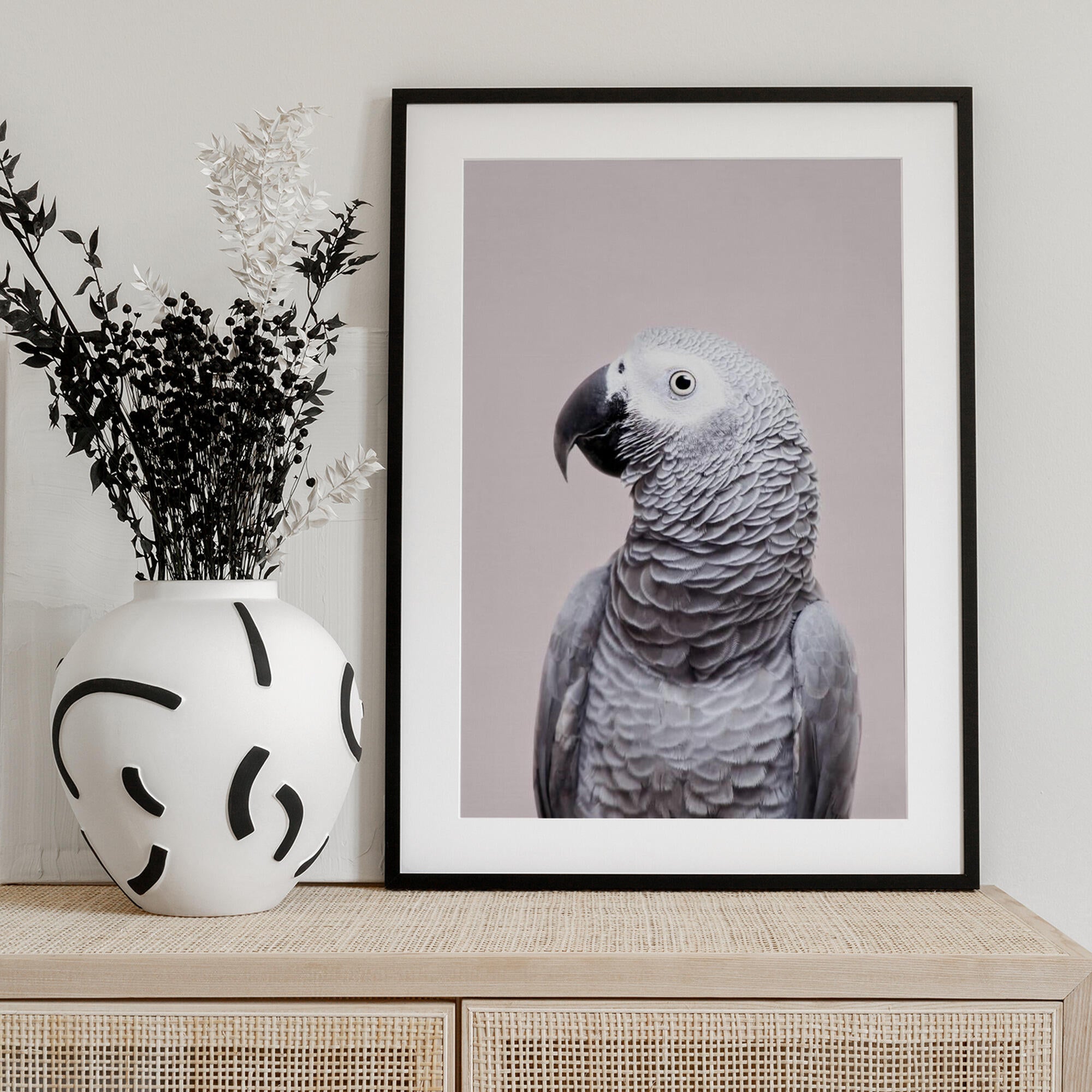 African Grey