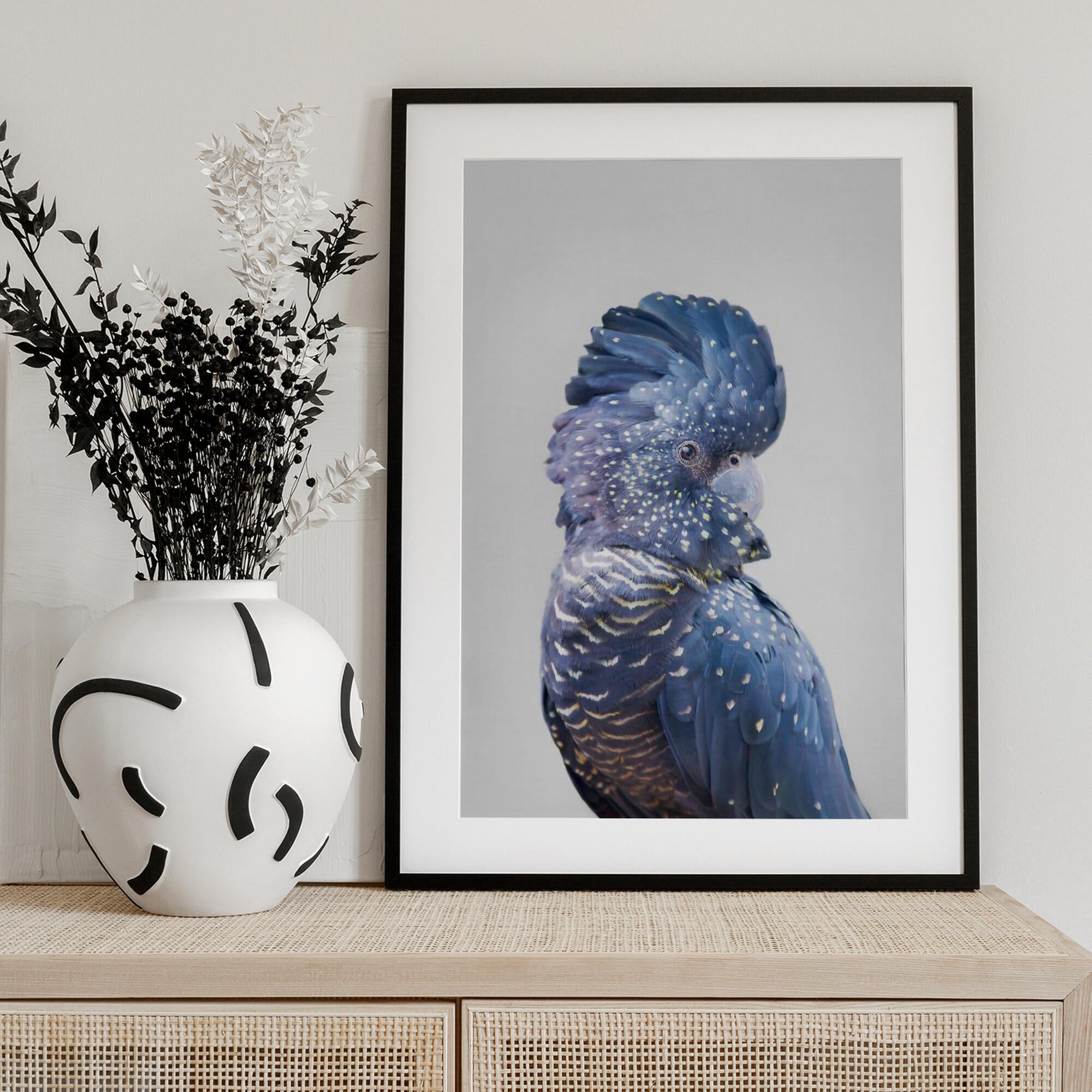 Black Cockatoo