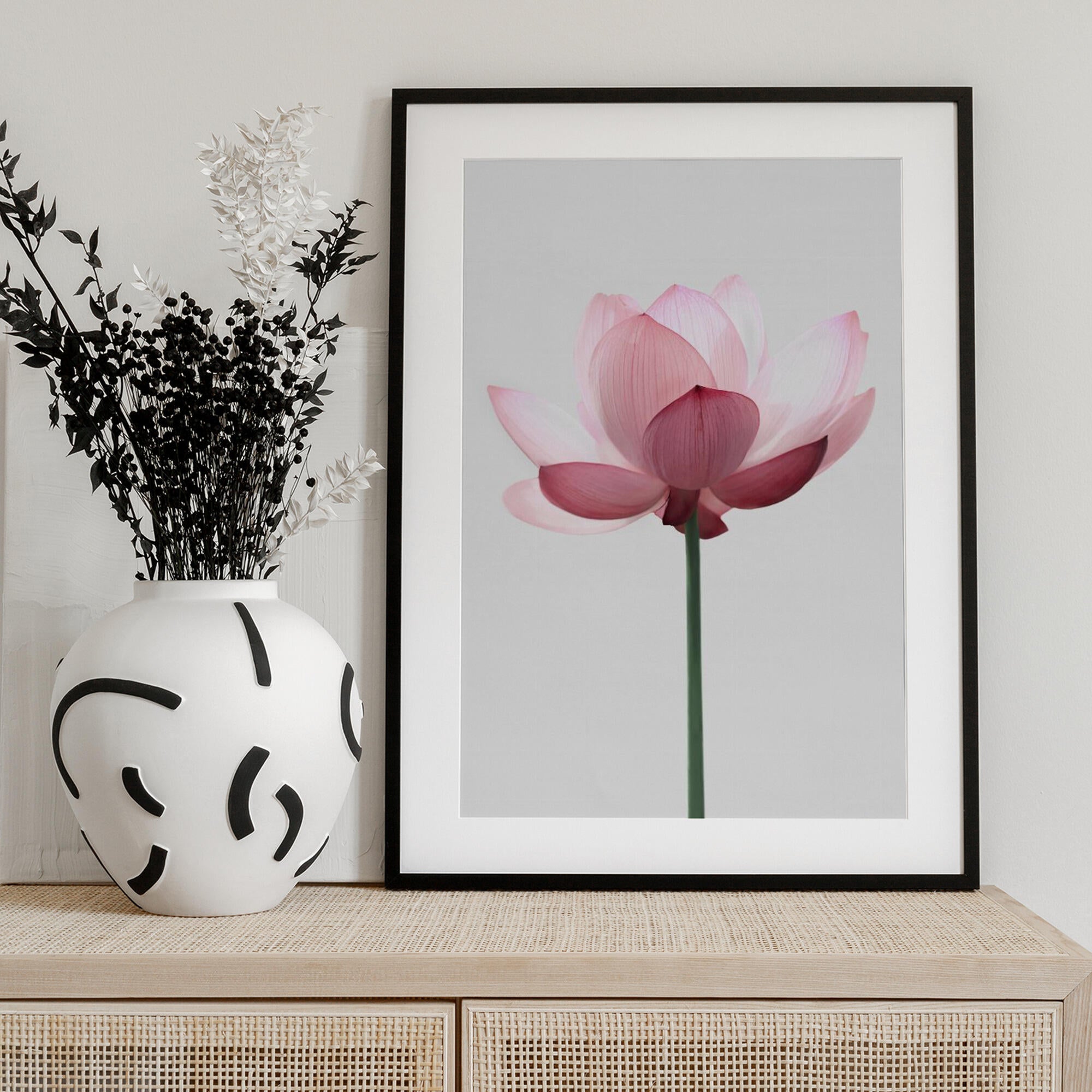 Lotus Flower
