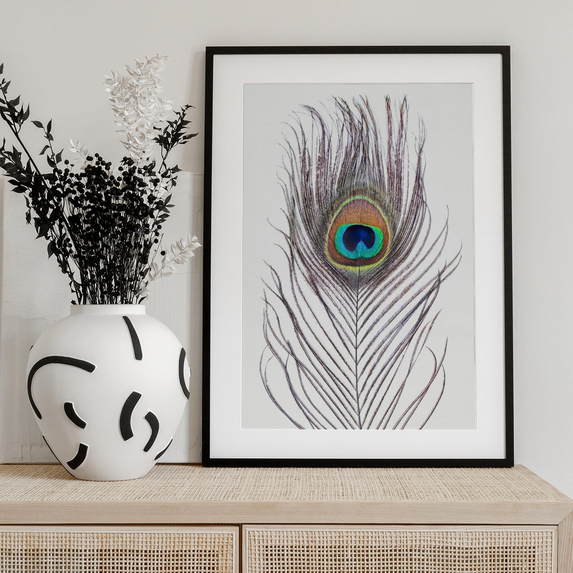 Peacock Feather
