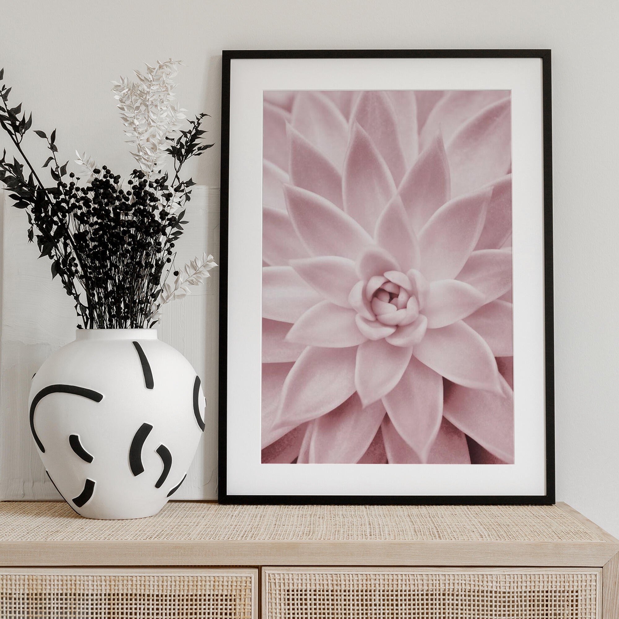 Pink Succulent