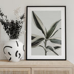 Foliage