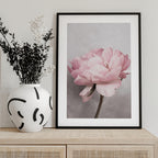 Peony