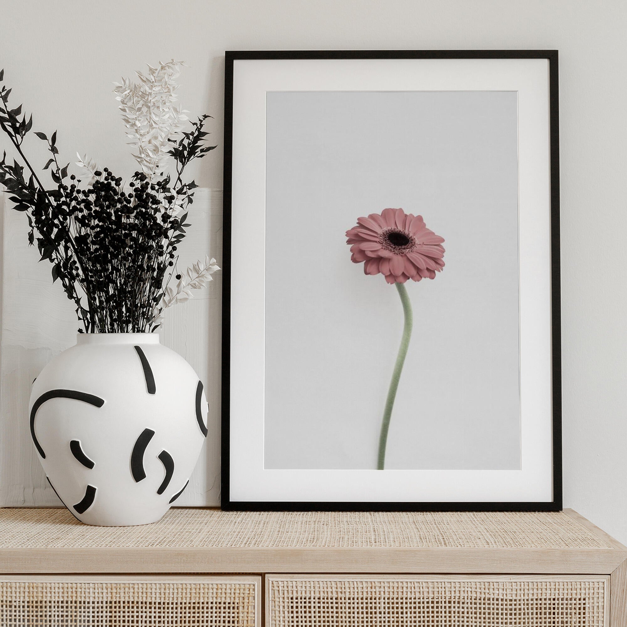 Pink Gerbera