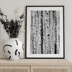 Birches