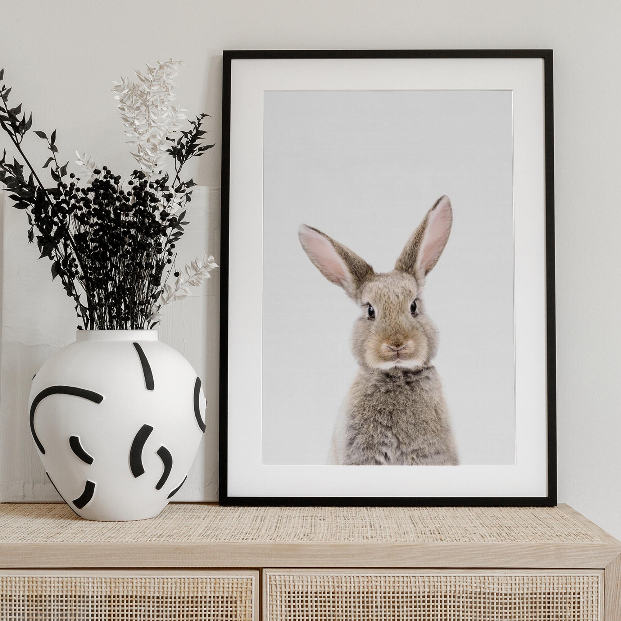 Baby Rabbit