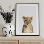 Baby Lion