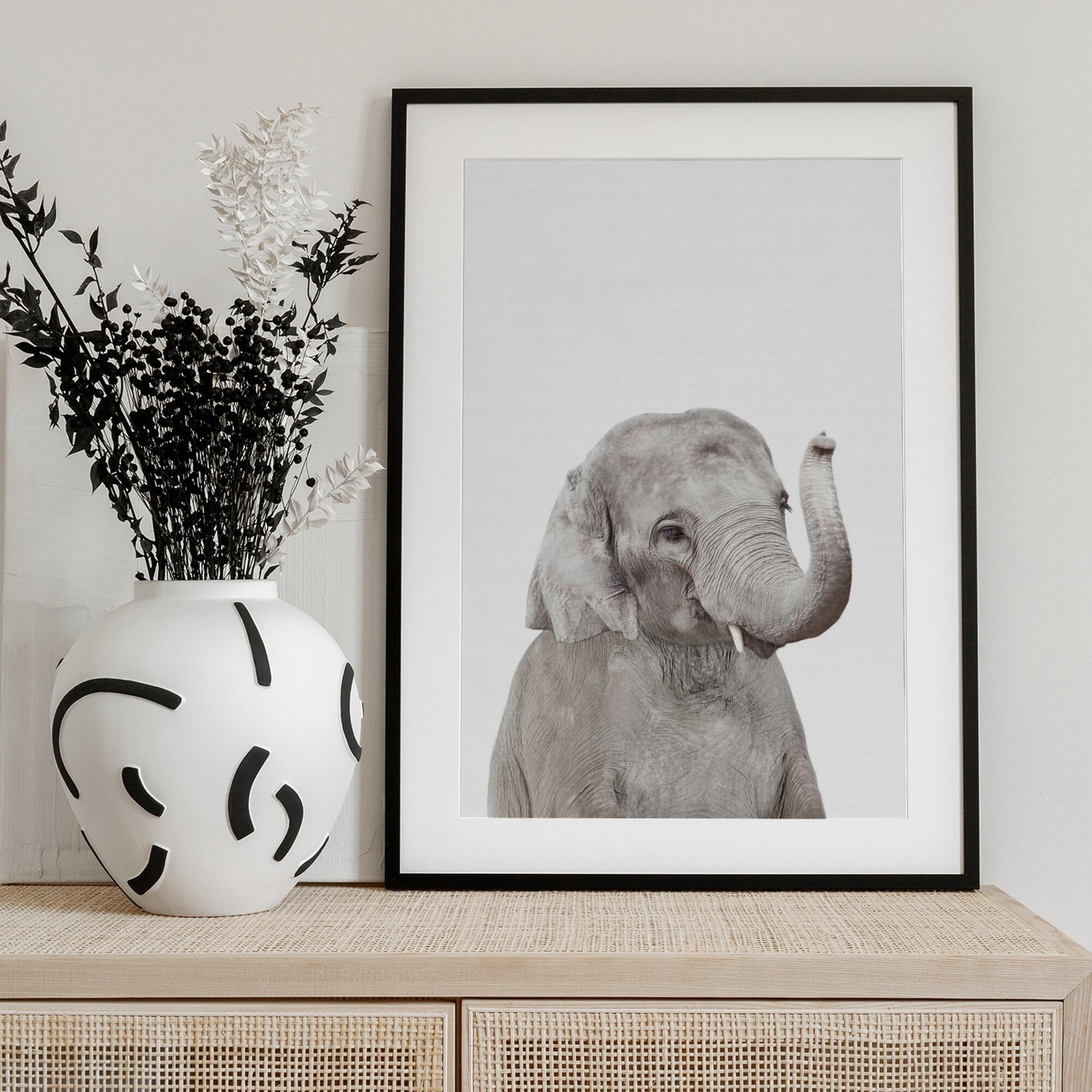 Baby Elephant
