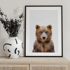 Baby Bear
