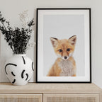 Baby Fox