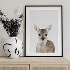 Baby Deer