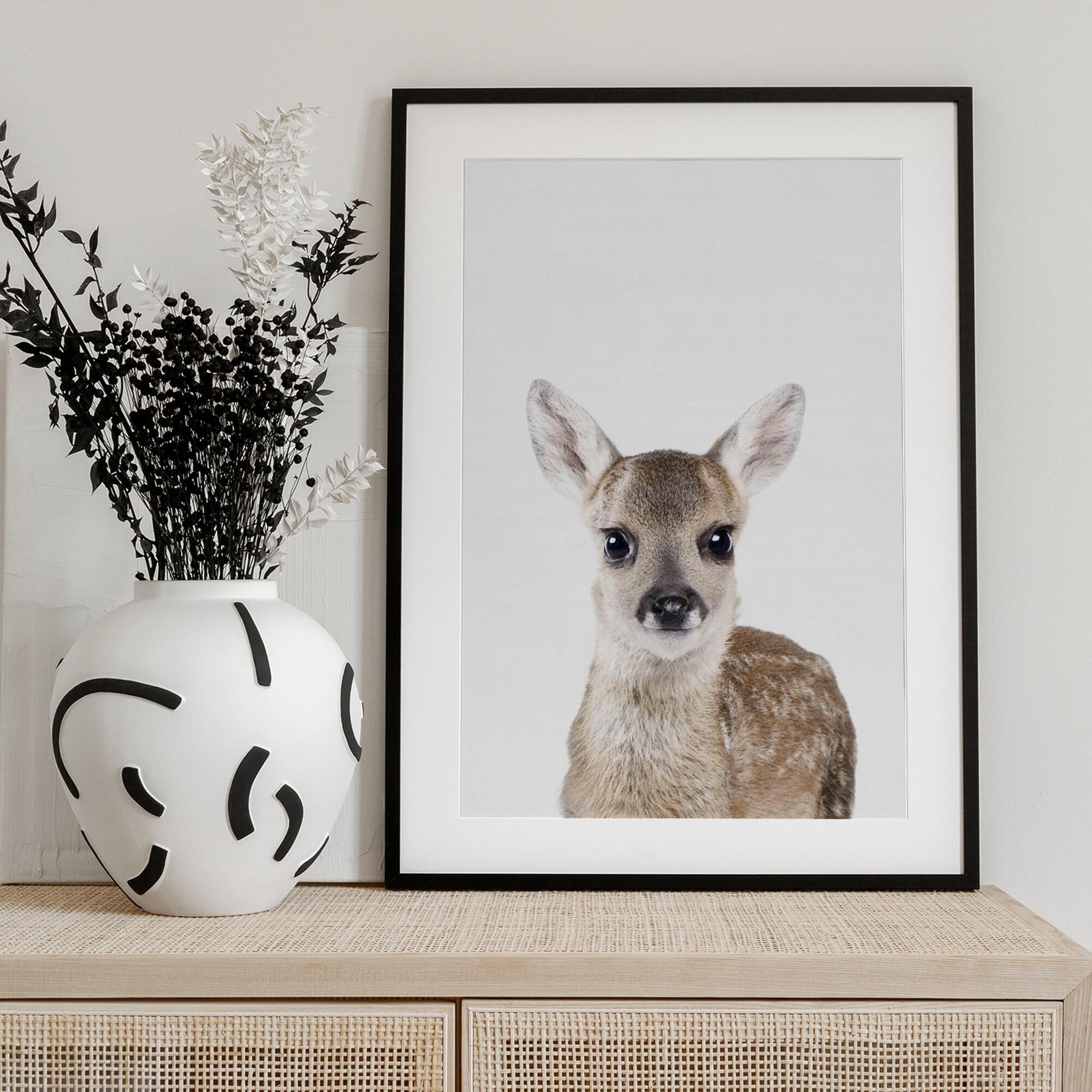 Baby Deer