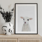 Baby Lamb
