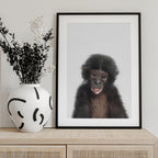 Baby Monkey