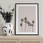 Blush Palms