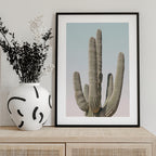 Saguaro