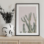 Sunrise Cactus