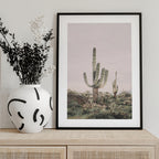 Pink Saguaro