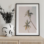 Tropical Palms