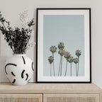 Blue Palm Trees
