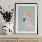 Cockatoo