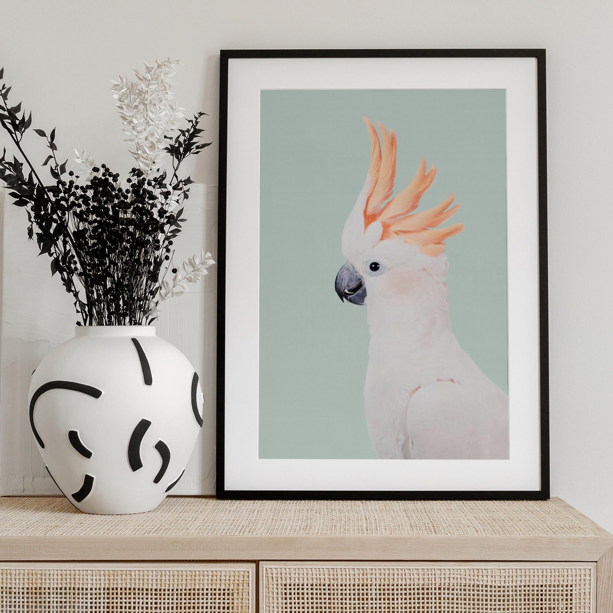 Cockatoo