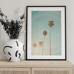 Sunny Cali Palm Tree