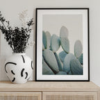 Pastel Cacti