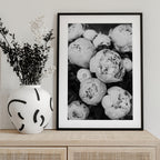 Peonies