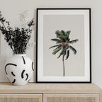 Windy Palm Tree
